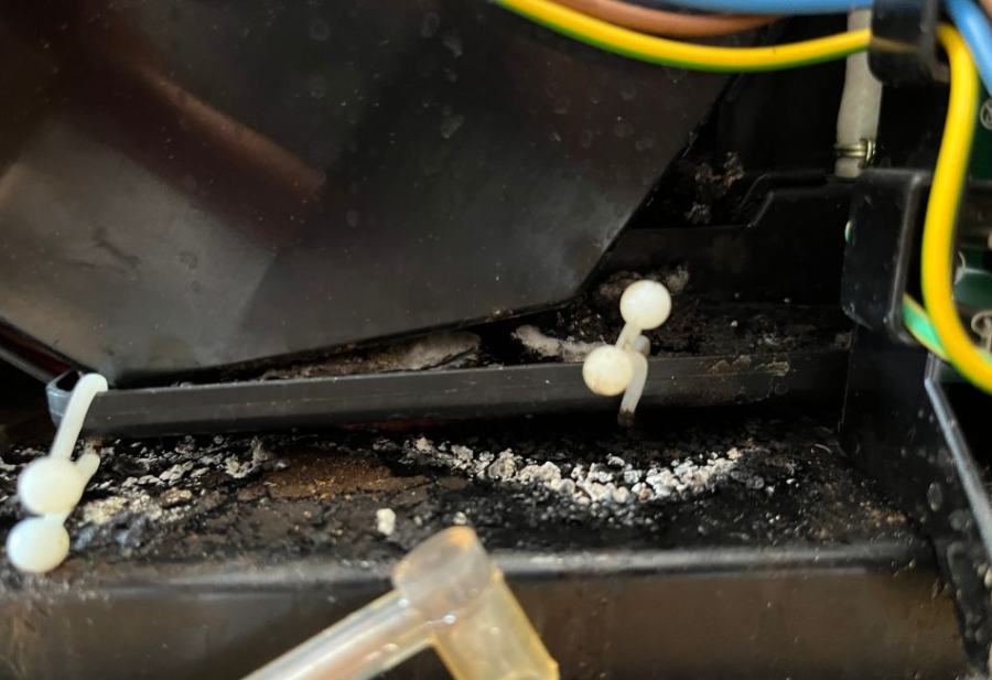 brudny ekspres do kaw pełen pleśni